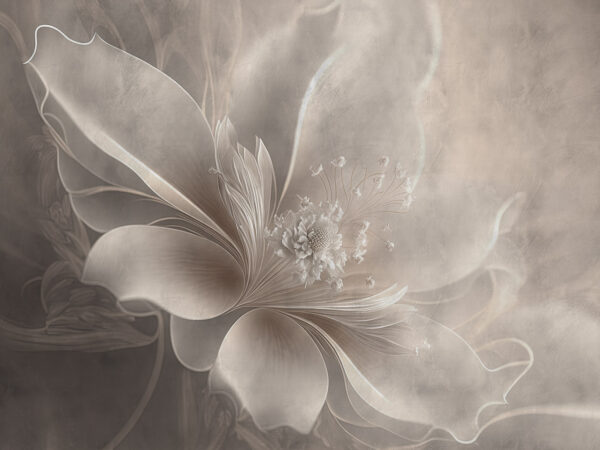 Fleur blanche avec une fleur Fleur blanche avec une fleur