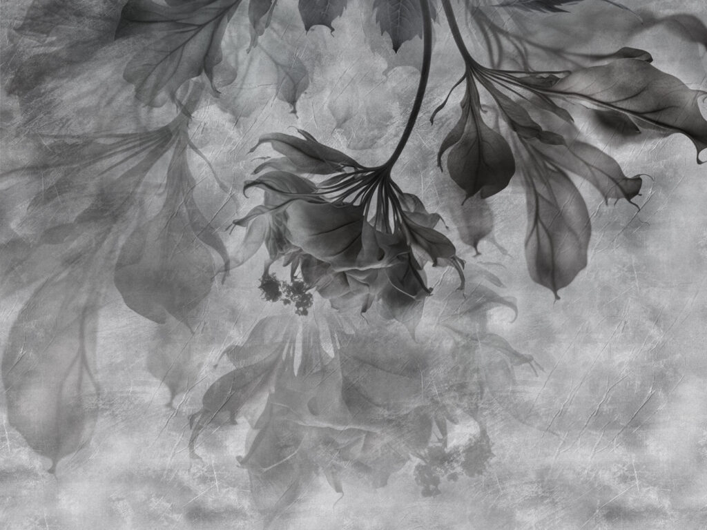 Des feuilles élégantes dans des tons doux et monochromes Des feuilles élégantes dans des tons doux et monochromes