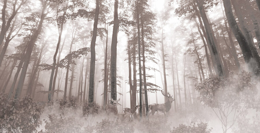 Groupe de cerfs dans une forêt
