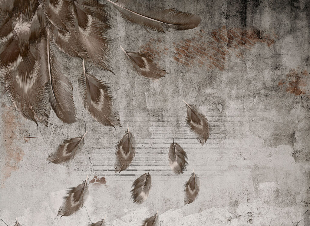 Groupe de plumes sur un mur u93657p 1024x748 - Groupe de plumes sur un mur - tegory