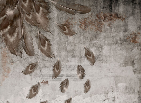 Groupe de plumes sur un mur u93657p 600x438 - Groupe de plumes sur un mur - tegory