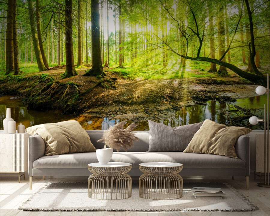 Ruisseau dans une forêt Ruisseau dans une forêt