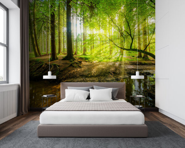 Ruisseau dans une forêt Ruisseau dans une forêt