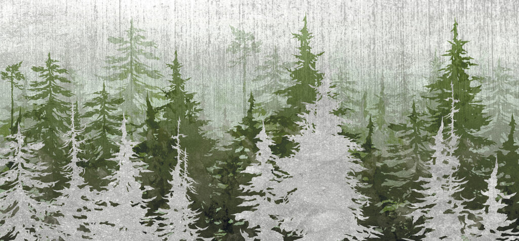 Groupe d'arbres dans une forêt Groupe d'arbres dans une forêt