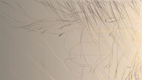 Lignes abstraites sur un fond doux Lignes abstraites sur un fond doux