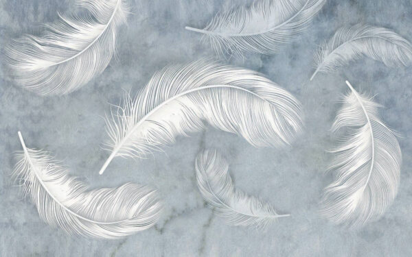 Groupe de plumes blanches Groupe de plumes blanches