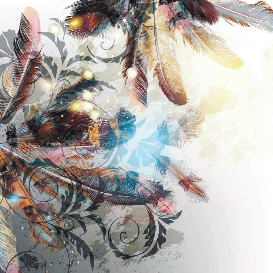 Plumes colorées et motifs complexes