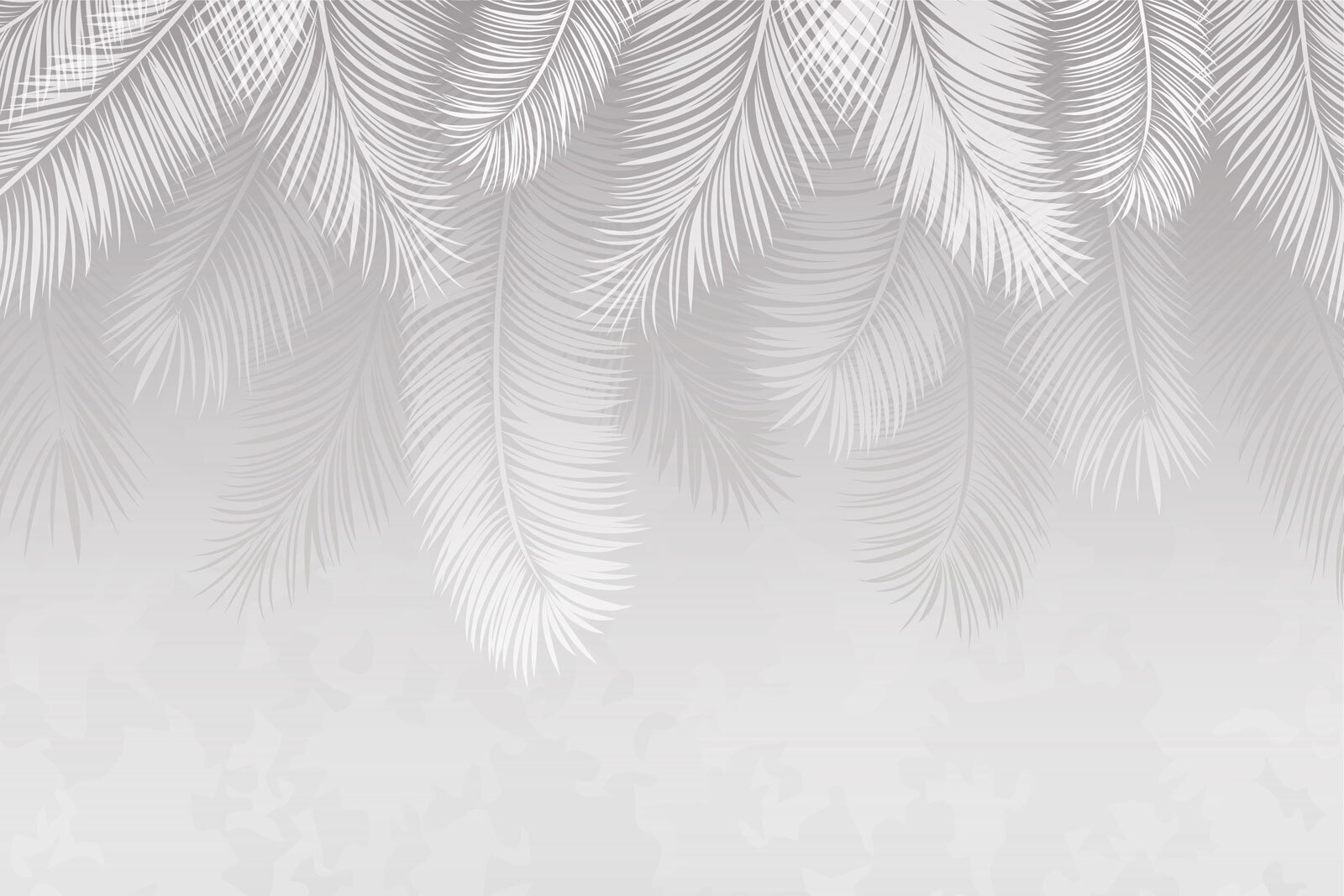White feather pattern on a gray background White feather pattern on a gray background
