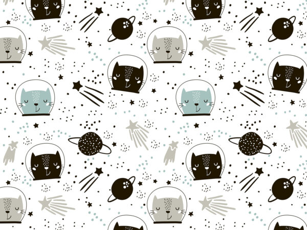 Motif de chats dans l'espace Motif de chats dans l'espace