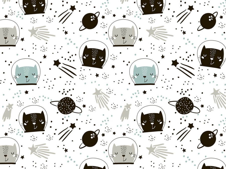 Motif de chats dans l'espace Motif de chats dans l'espace
