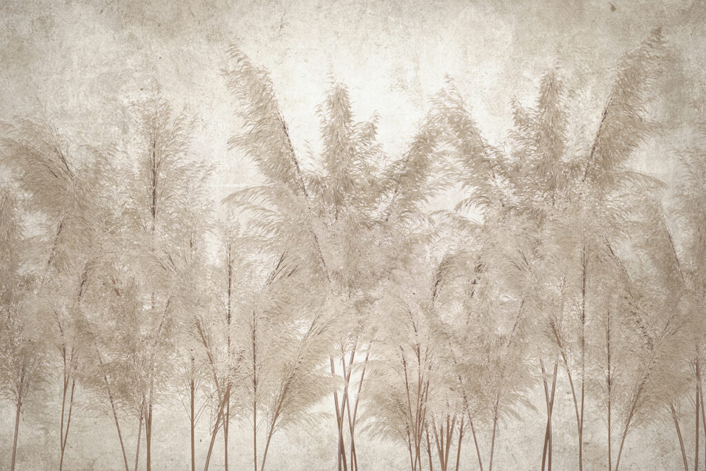 Groupe d'arbres aux feuilles blanches Groupe d'arbres aux feuilles blanches