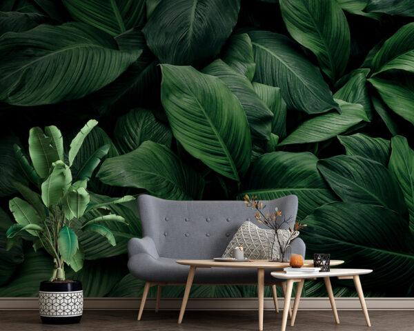 Grandes feuilles vertes Grandes feuilles vertes