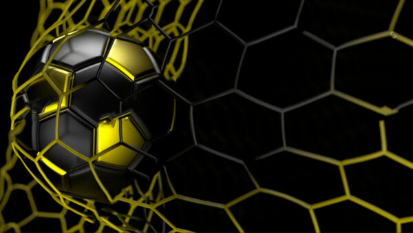 Ballon de football dans un filet u72802p 600x338 - Ballon de football dans un filet