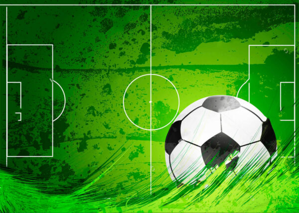 Ballon de football sur un terrain vert Ballon de football sur un terrain vert