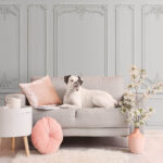 Papier peint Mur avec des murs blancs