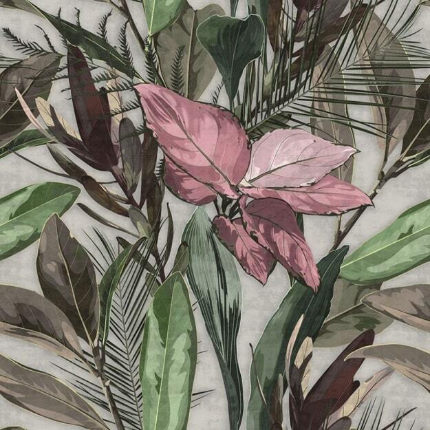 Des pétales délicats parmi une verdure luxuriante. Des pétales délicats parmi une verdure luxuriante.