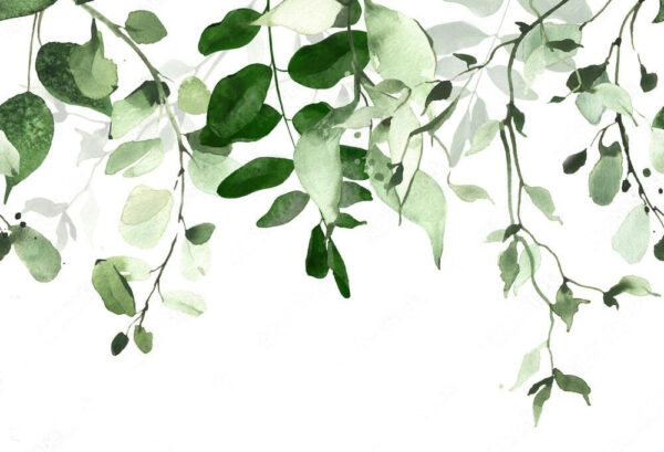 Fond élégant de feuilles vertes Fond élégant de feuilles vertes