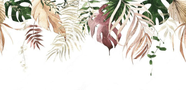 Groupe de feuilles sur fond blanc Groupe de feuilles sur fond blanc