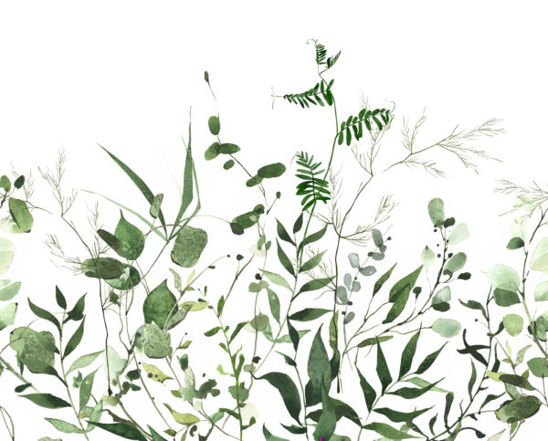 Verdure luxuriante sur fond blanc. Verdure luxuriante sur fond blanc.