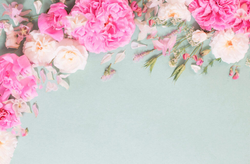 Groupe de fleurs roses Groupe de fleurs roses