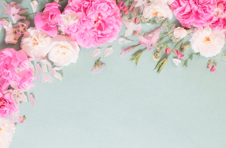 Groupe de fleurs roses