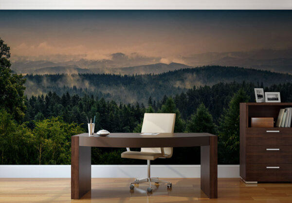 Forêt avec brouillard et nuages Forêt avec brouillard et nuages