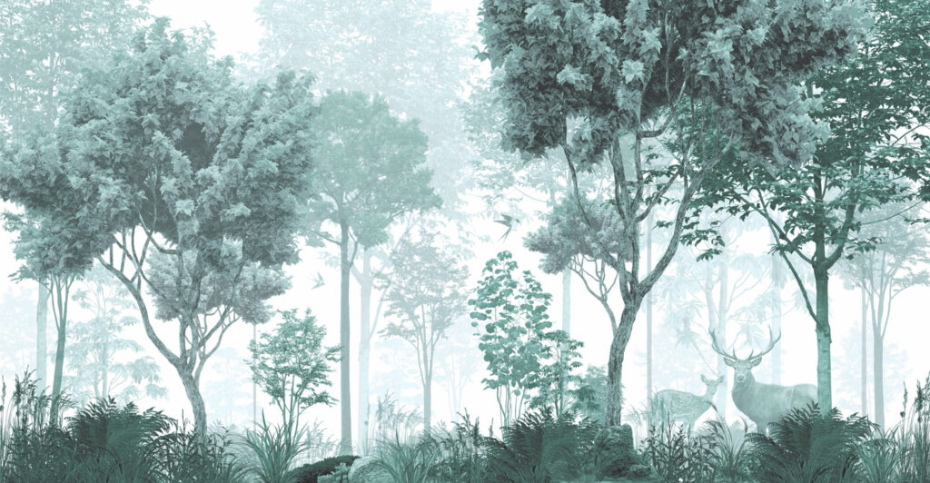Une forêt avec des arbres et des plantes Une forêt avec des arbres et des plantes