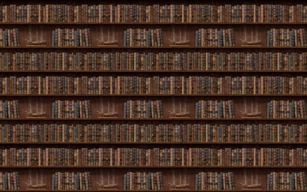 Mur de livres avec des bateaux u72118p 600x375 - Mur de livres avec des bateaux - tegory