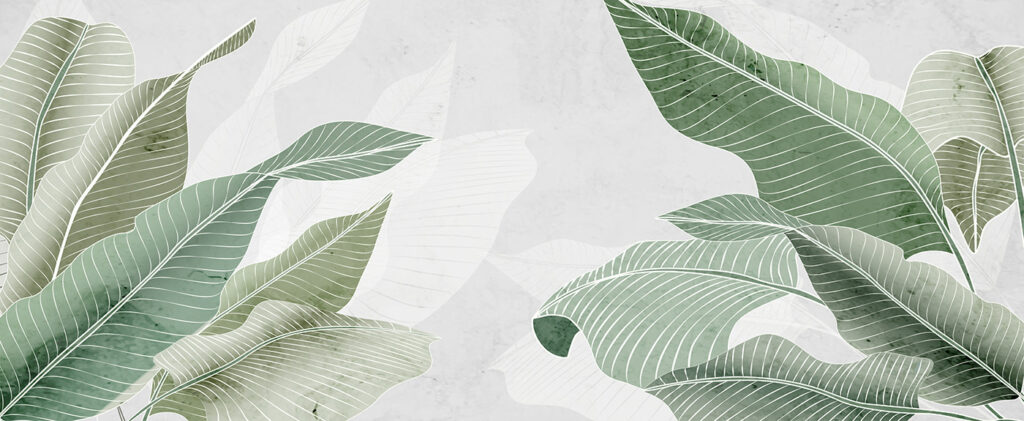 Des verts doux et des textures apaisantes Des verts doux et des textures apaisantes