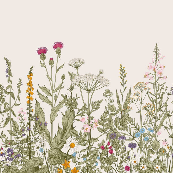 Rangée de fleurs et de plantes Rangée de fleurs et de plantes