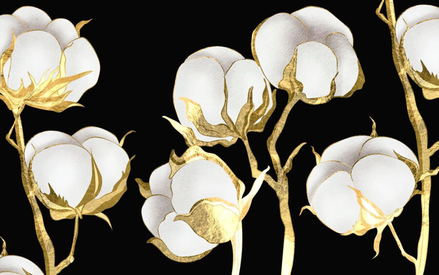 Fleurs de coton sur fond sombre