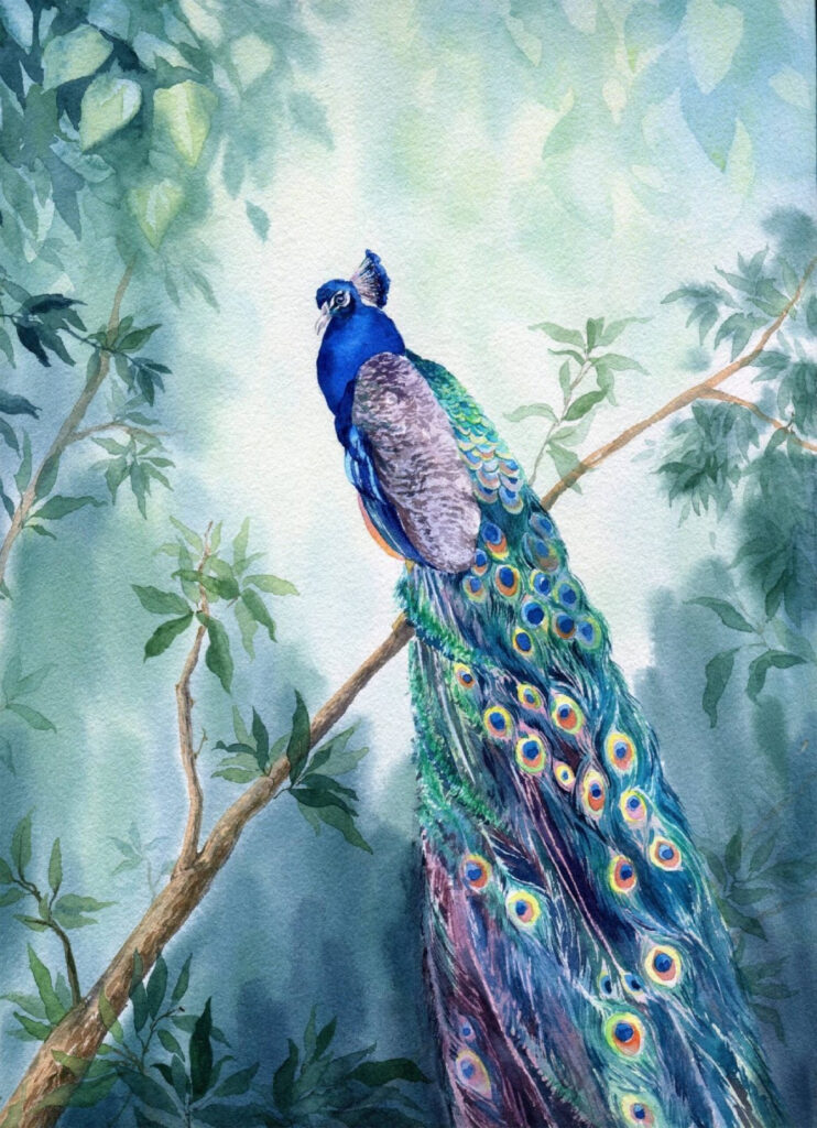 Aquarelle d'un paon sur une branche Aquarelle d'un paon sur une branche