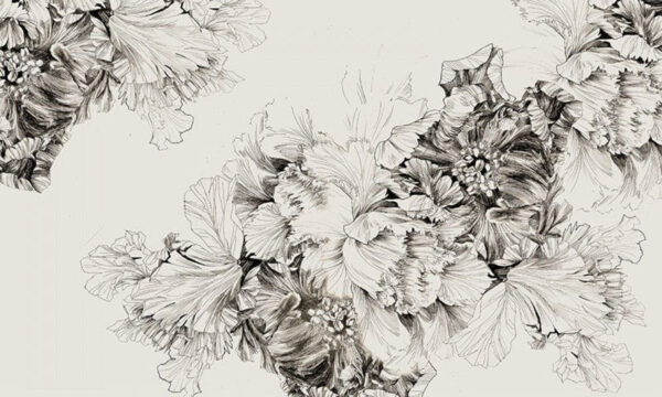 Dessin de fleurs sur fond blanc Dessin de fleurs sur fond blanc