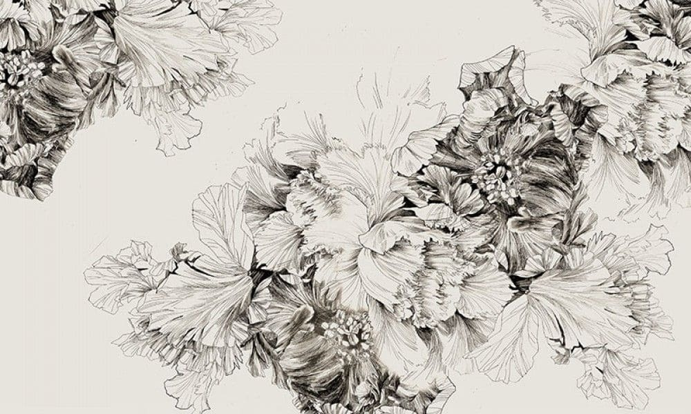 Dessin de fleurs sur fond blanc Dessin de fleurs sur fond blanc