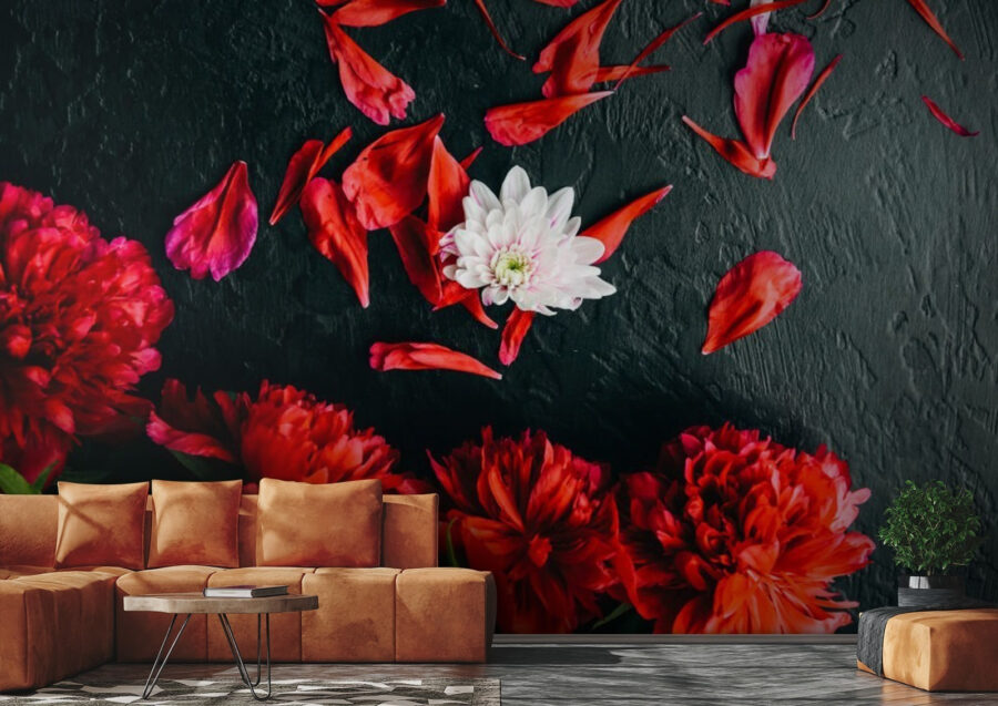 Groupe de fleurs rouges avec pétales sur une surface noire