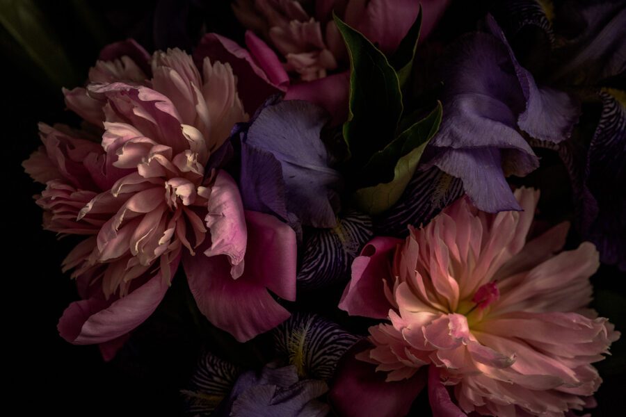 Pétales délicats aux couleurs douces u71468p 900x600 - Pétales délicats aux couleurs douces - tegory