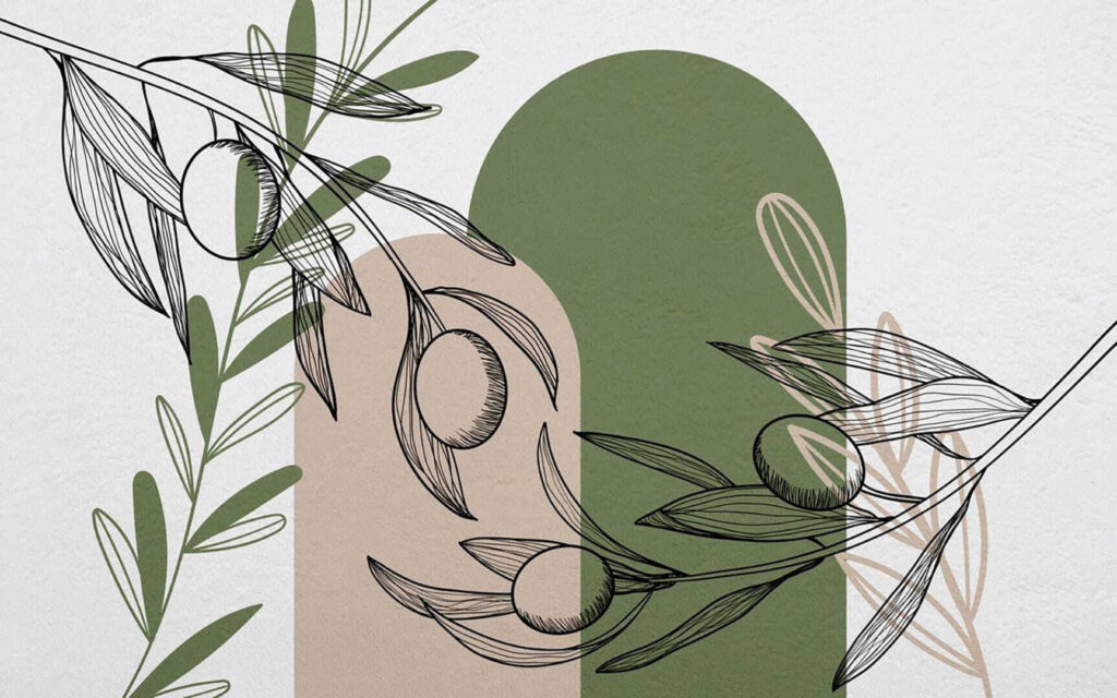 Dessin d'olives sur une branche Dessin d'olives sur une branche