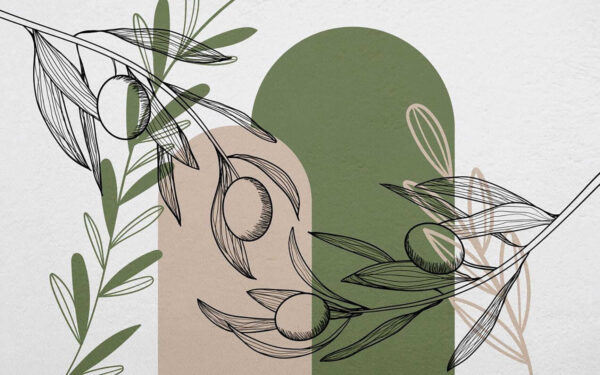 Dessin d'olives sur une branche Dessin d'olives sur une branche