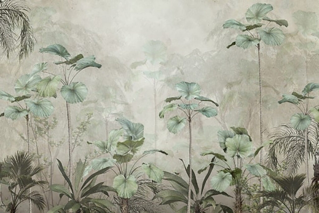 Groupe de plantes dans une forêt brumeuse Groupe de plantes dans une forêt brumeuse