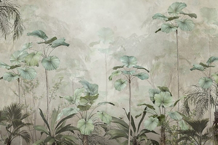 Groupe de plantes dans une forêt brumeuse Groupe de plantes dans une forêt brumeuse