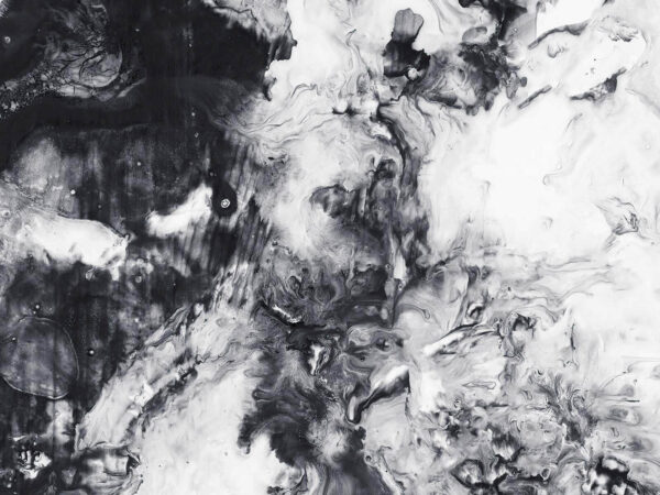 Peinture en noir et blanc Peinture en noir et blanc