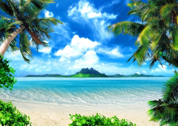 Plage avec palmiers et eau bleue Plage avec palmiers et eau bleue