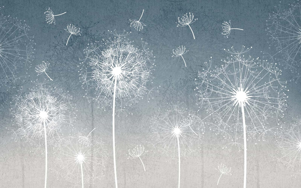 Pissenlits blancs dans l'air u63857p 1024x640 - Pissenlits blancs dans l'air - tegory