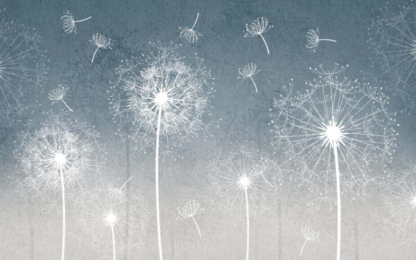 Pissenlits blancs dans l'air u63857p 600x375 - Pissenlits blancs dans l'air - tegory