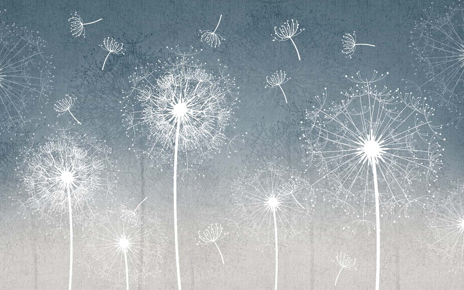 Pissenlits blancs dans l'air u63857p - Pissenlits blancs dans l'air - tegory