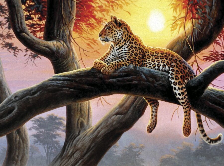 Léopard couché sur une branche d'arbre