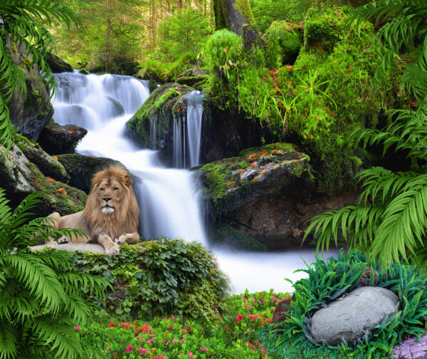 Lion couché sur un rocher près d'une cascade Lion couché sur un rocher près d'une cascade