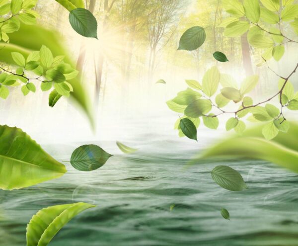 Eau avec feuilles volant dans l'air Eau avec feuilles volant dans l'air