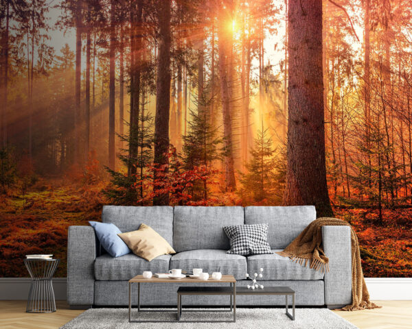 Le soleil brille à travers les arbres Le soleil brille à travers les arbres