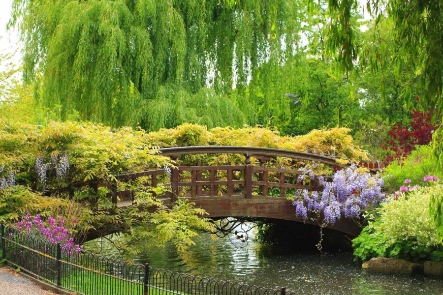 Pont sur l'eau avec des arbres et des plantes